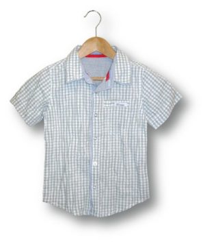 Fresh Baked Gingham check shirt